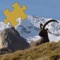 Animals - Amazing Puzzle is a great way to have fun while you are learning new things, with great photos and  detailed info