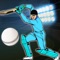 Quick Cricket 3D