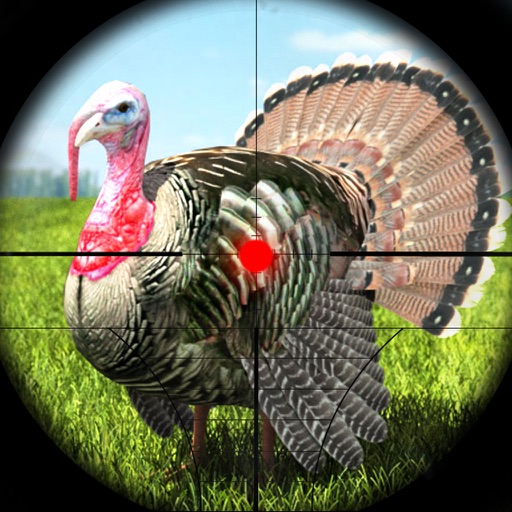 2016 Turkey Bird Hunting Adventure - Animal Wildlife Hunter Sniper Shooter Games icon