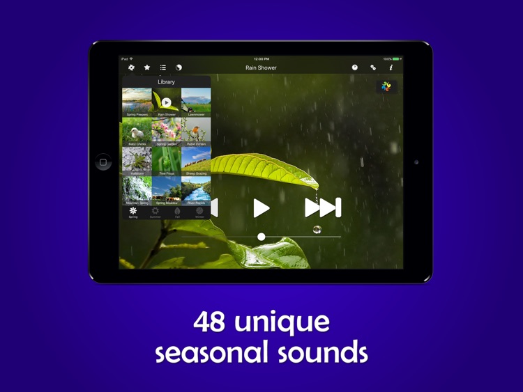 White Noise Ambience Seasons HD