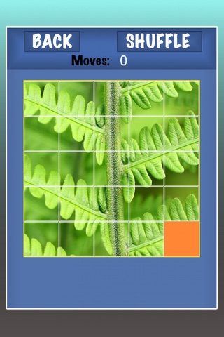 Puzzle that Puzzle - Slide me! - Free screenshot 3
