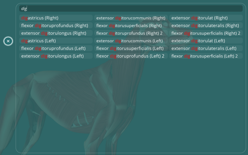 Visual Anatomy - Canine thumbnail 4