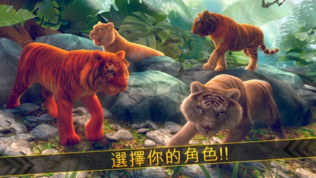 老虎 動物 酷跑(圖4)-速報App