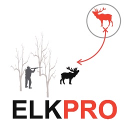 Elk Hunting Strategy for Big Game Hunting