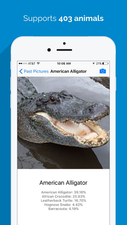 Animal Identifier - Animal Identification From a Picture