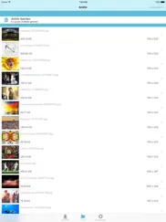 image grabber lite - bilder downloaden ipad bildschirmfoto 2