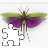 Insects Encyclopedia Puzzles