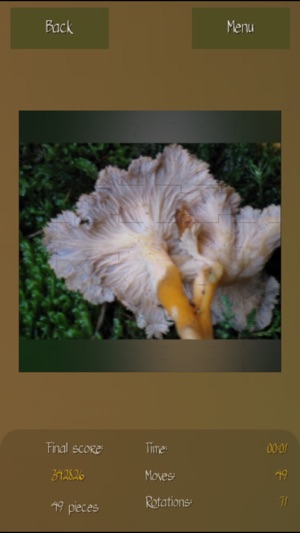 Mushrooms Puzzles Collection(圖3)-速報App