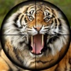 2016 Tiger Hunt Simulator Pro