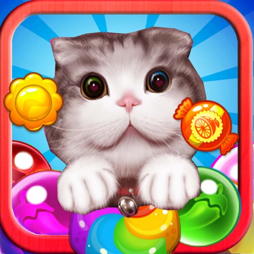 Pop Cat Match : Jelly Dash Mania Icon