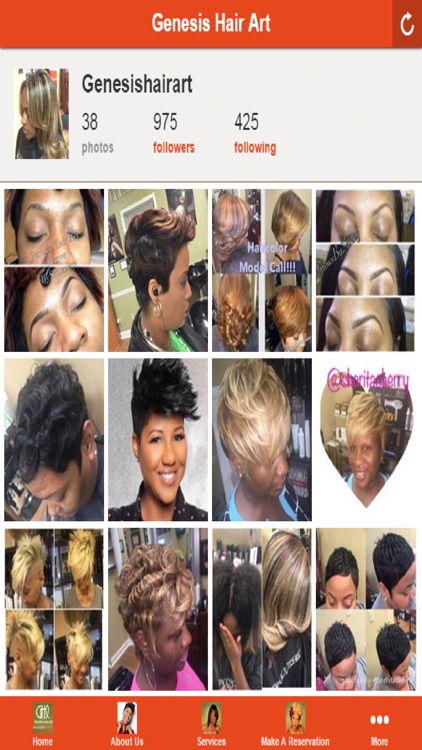 Genesis Hair Art