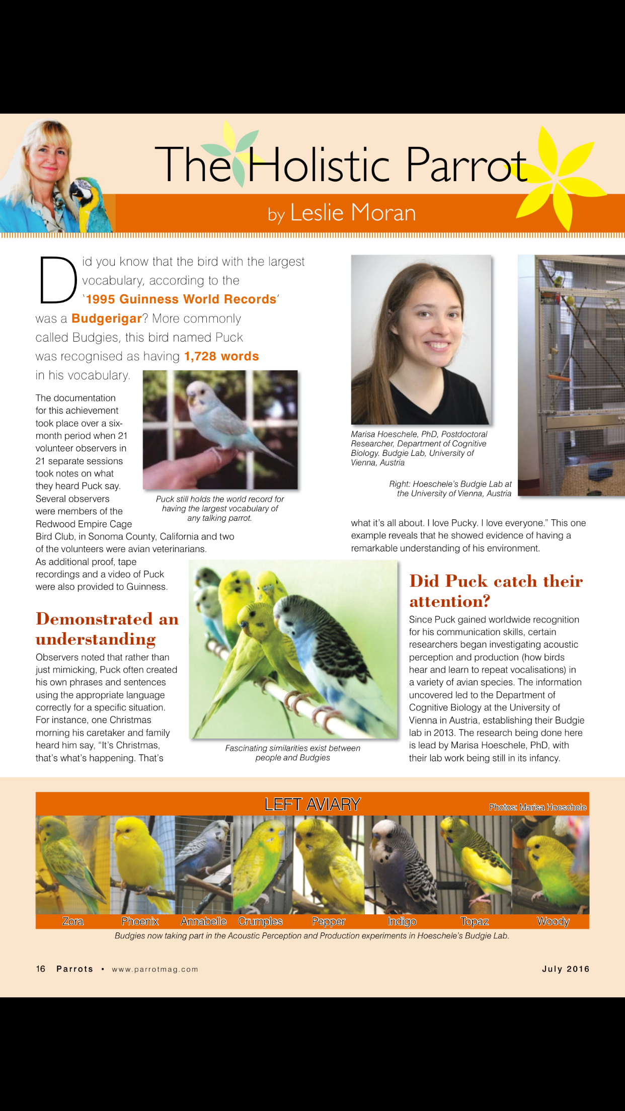 Parrots magazine