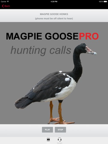 REAL Magpie Goose Calls - Hunting Calls for Magpie Geese -- (ad free) BLUETOOTH COMPATIBLE screenshot 3