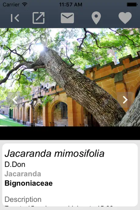 CampusFlora
