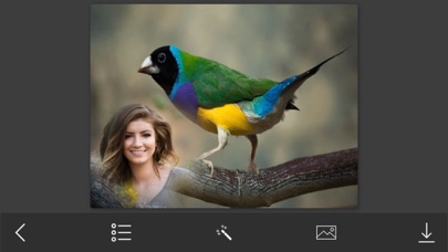 Bird Photo Frames - Creative Frames for your photo iPhone screenshot 4 - Photo & Video app