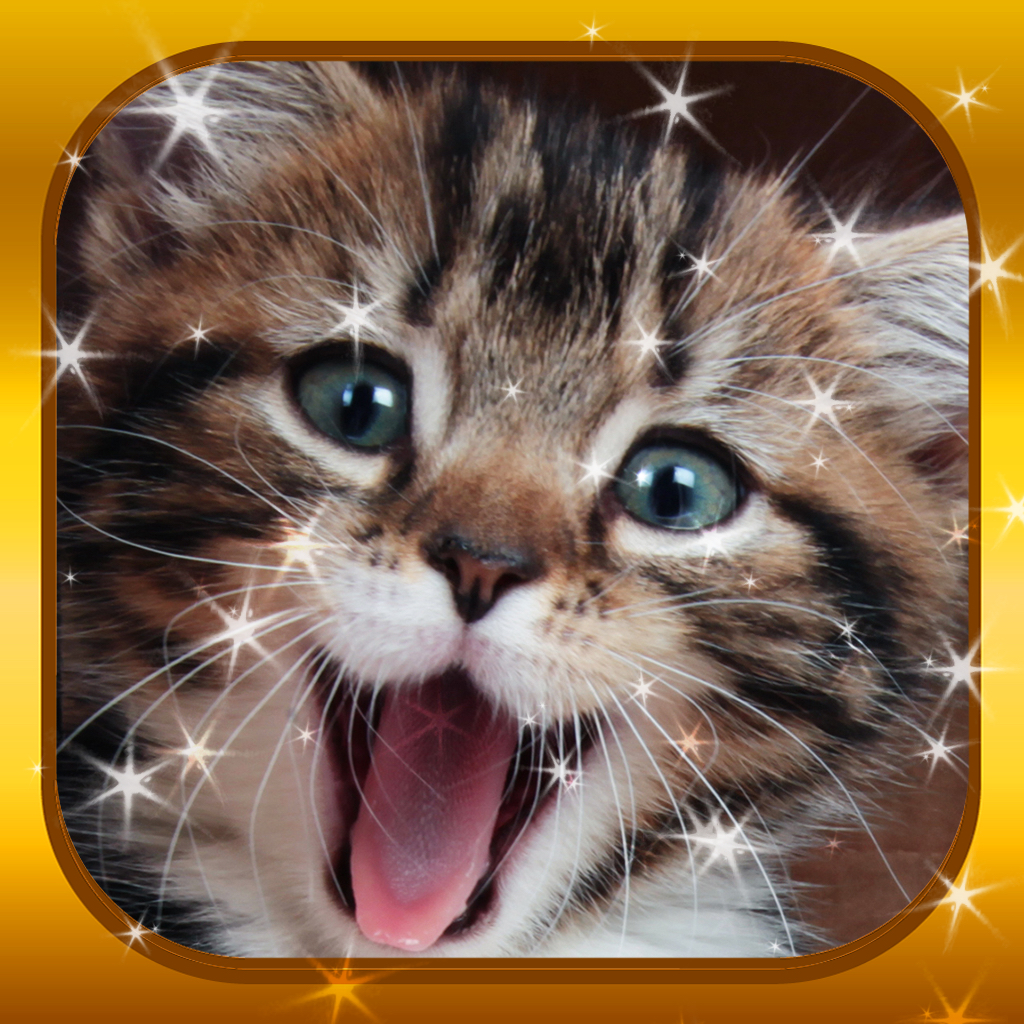 Kitten Baby Animal Game - Cute Cat Puzzles Jigsaw App Icon