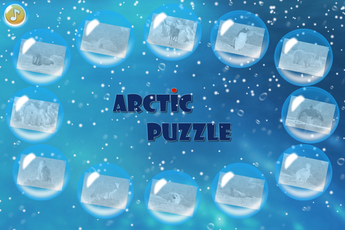 Arctic Animals Puzzle
