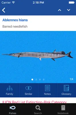 Game screenshot Fishes: Greater Caribbean apk