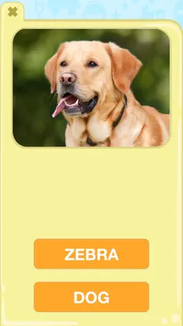 Game screenshot Animal Picture Matching Kids Games:Memory Matches mod apk