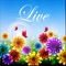 Live Wallpapers are amazing experience it now