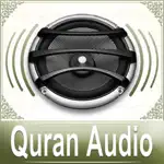 Quran Audio - Sheikh Huzaifi App Problems