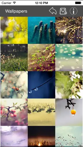 Game screenshot Wallpaper Collection Nature Edition hack