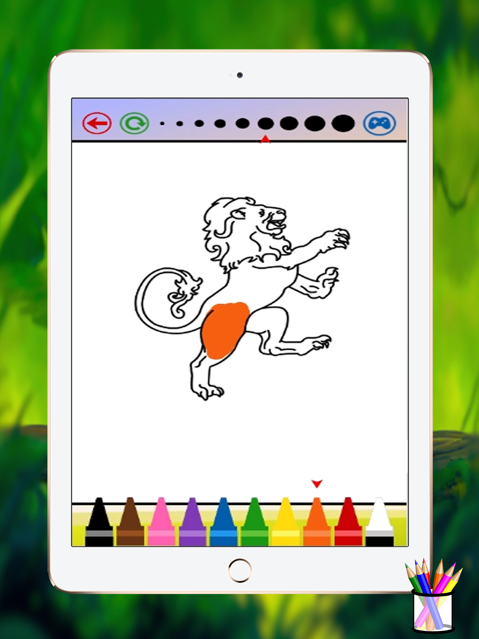 lion coloring book