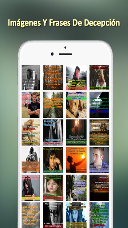 Imágenes Y Frases De Decepción