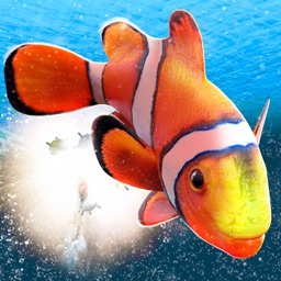 My Sea Fish Adventure | Free Fish Swimming Game 3D