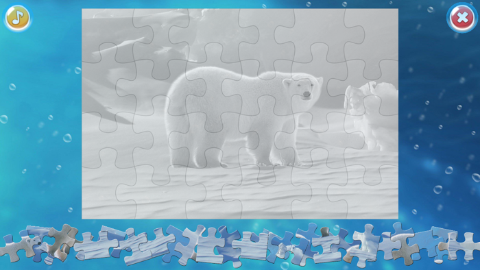 Arctic Animals Puzzle