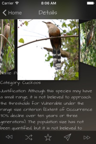 Cuckoos Database screenshot 4