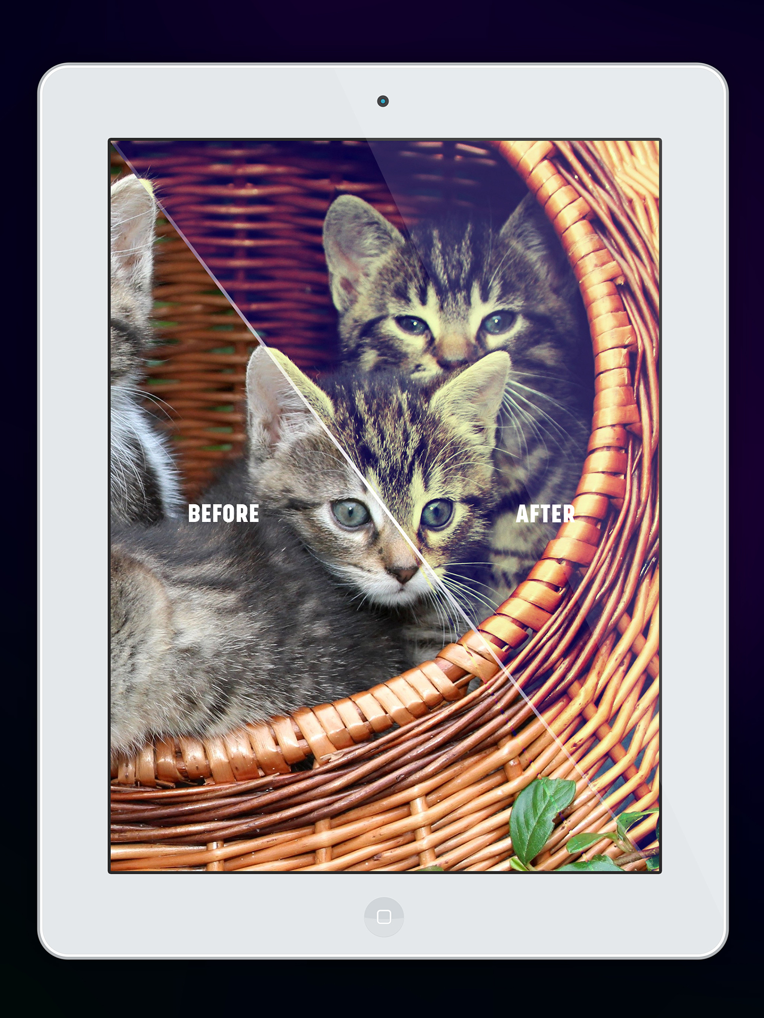 Live Filter Cam-Overlay Effect screenshot 7