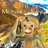 The Monkey King, Birth Of The Stone Monkey