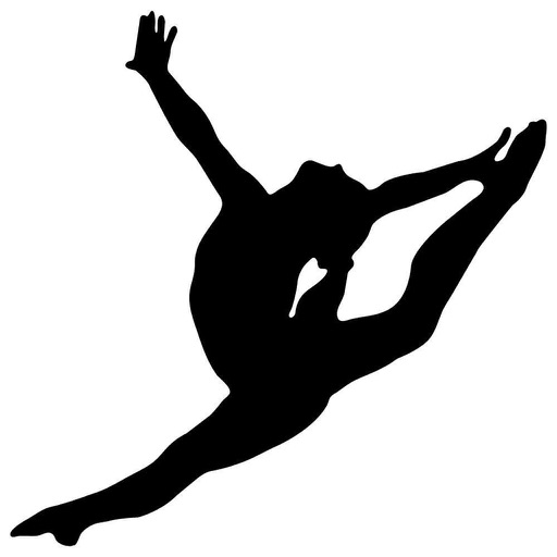 Gymnastics For Beginners icon