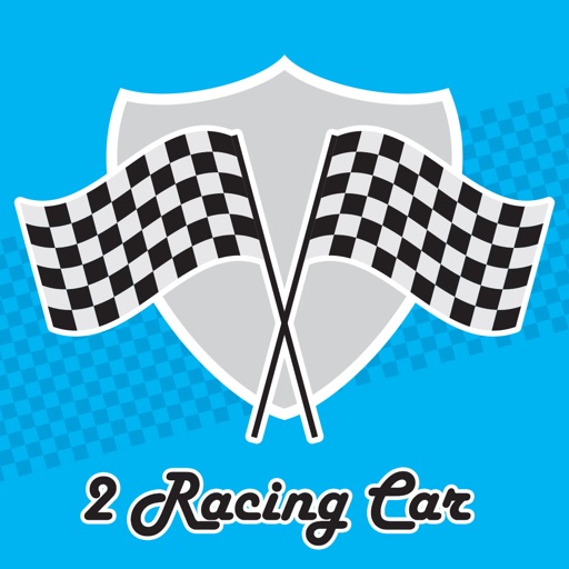 2 Racing Cars
