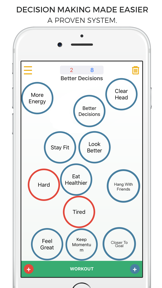 Flow - A Decision Making Tool screenshot