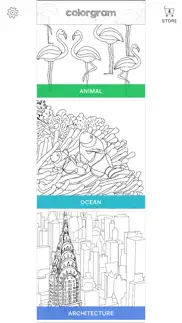 coloring book : colorgram problems & solutions and troubleshooting guide - 4