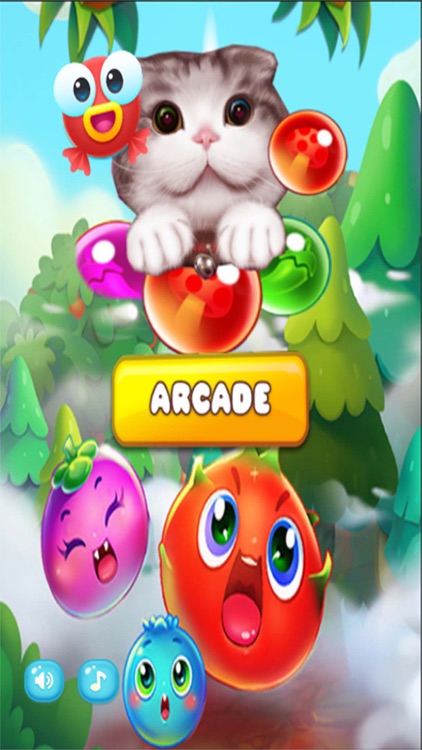 Pop Cat Bubble Angry Match 3: Jelly Birds Mania