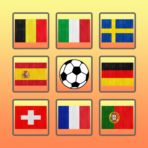 Puzzle Flag Matching Card World Game For Free 2016 Icon