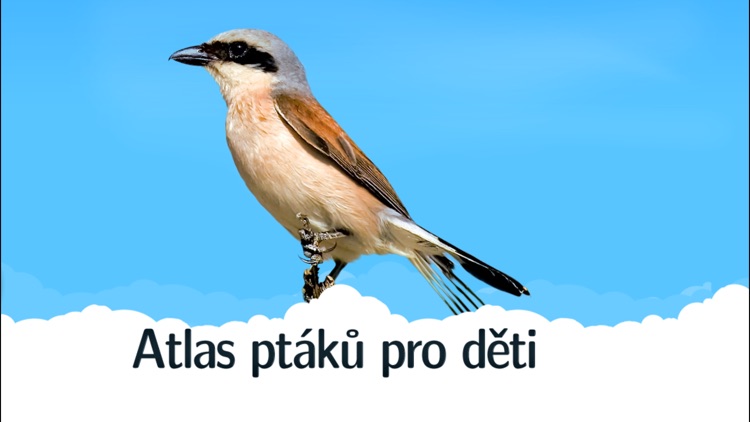 Atlas ptáků pro děti screenshot-3