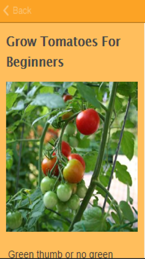 How To Grow Tomatoes