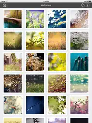 Wallpaper Collection Nature Edition ipad bilder 3