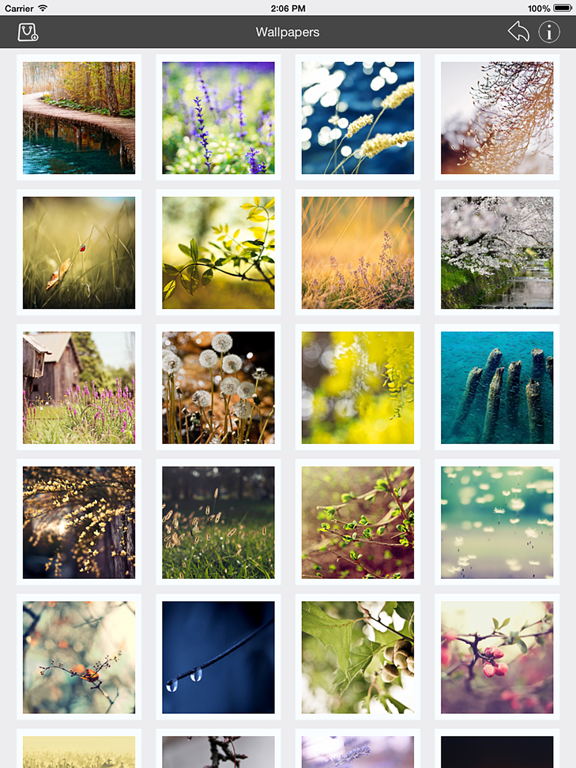 Screenshot #4 for Wallpaper Collection Nature Edition