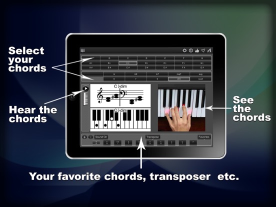 Screenshot #5 pour 120 Piano Chords LR