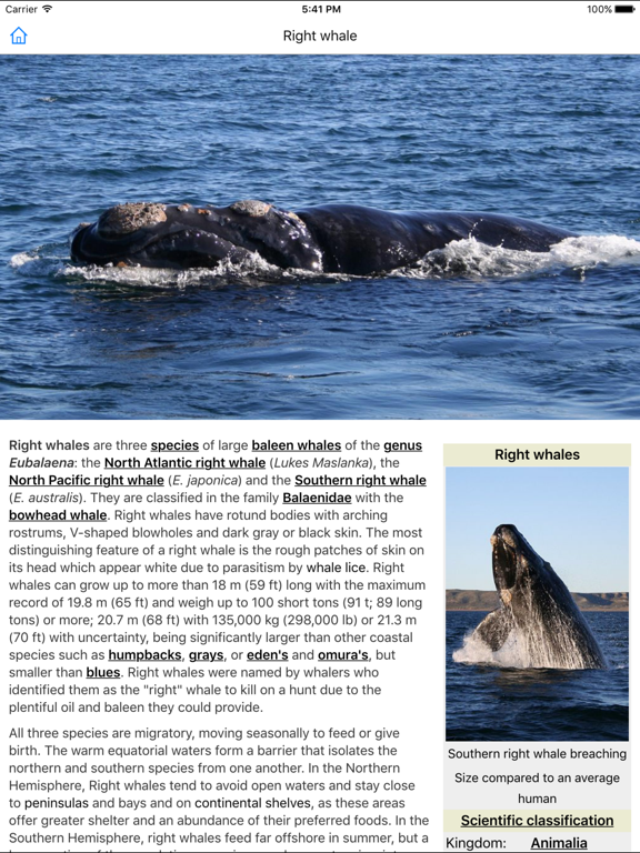 CHI Encyclopedia of Whales iPad screenshot 5 - Education app
