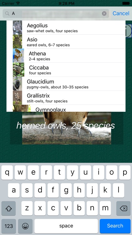 Owl Dictionary Pro screenshot-3