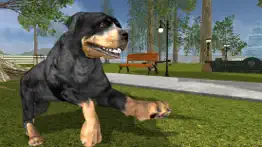 rottweiler dog life simulator iphone screenshot 1
