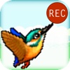 Catchy Bird - Capture those Flappy Wings