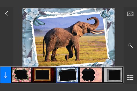 Professional Photo Frames - make eligant and awesome photo using new photo frames screenshot 3