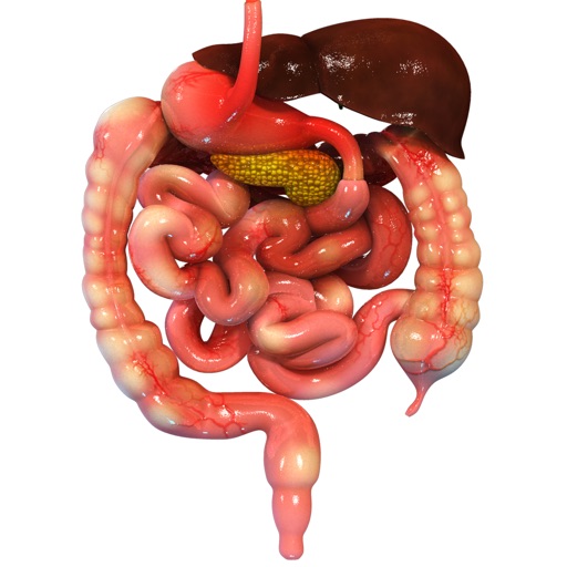 VR Human Digestive System Icon